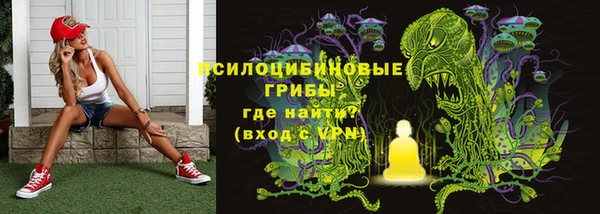 скорость Белокуриха
