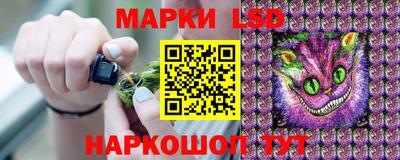 стафф Тула