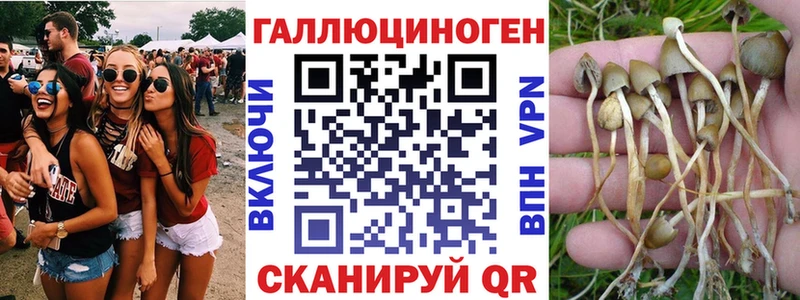 Псилоцибиновые грибы мицелий  Валуйки 