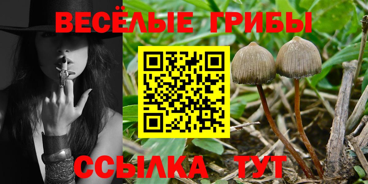 Псилоцибиновые грибы прущие грибы Валуйки