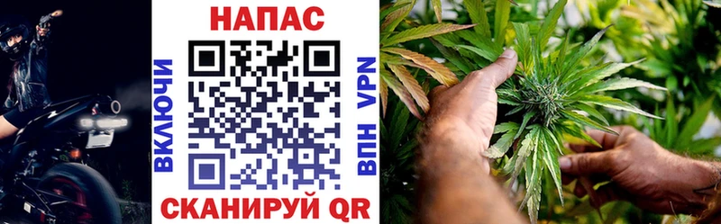 Бошки Шишки индика  где можно купить   Валуйки 